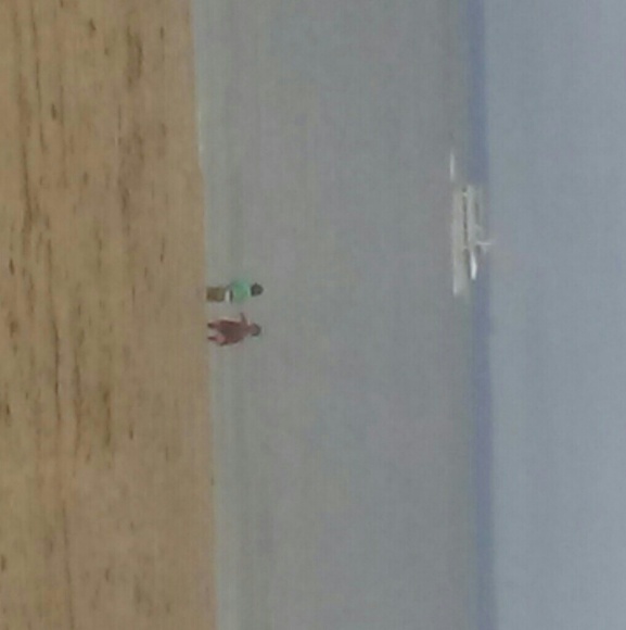 Meet your Posher, Joy - Picture 1 of 2